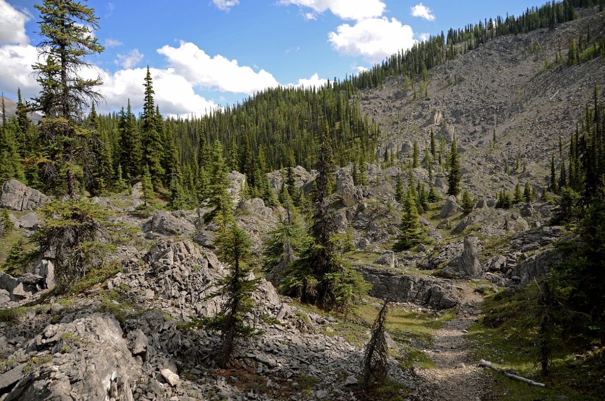 30 Valley Of the Rocks On Hike To Mount Assiniboine